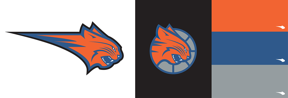 Charlotte Bobcats Team Identity