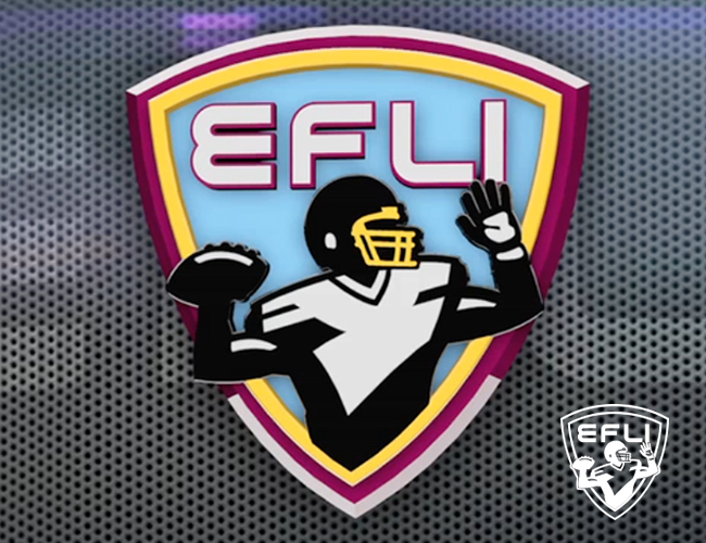 EFLI Team Identity